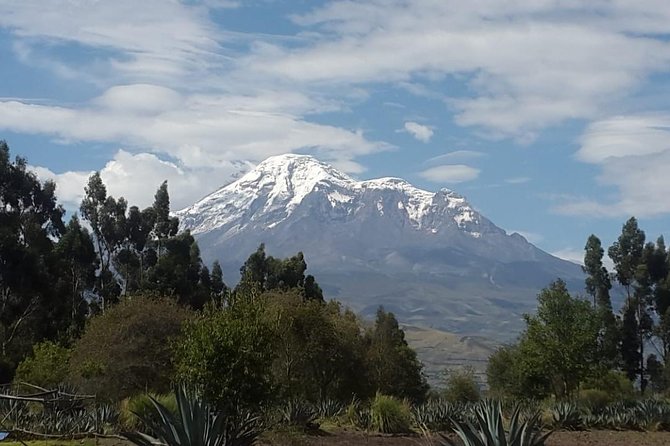 4 Days Guayaquil to Baños With Cajas Park, Cuenca and Chimborazo. - Customer Reviews