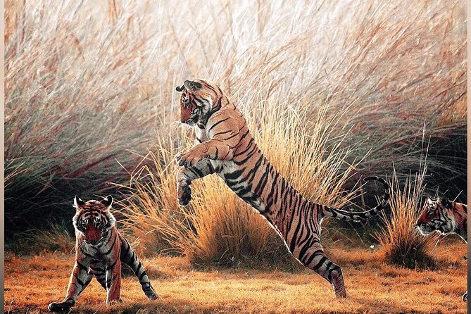 4 Days Guided Jaipur, Ranthambore Tigers & Udaipur Tour With Safari & Hotels - Jaipur Attractions and Sights