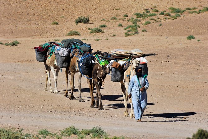 4 Days Hiking To Desert - Key Points