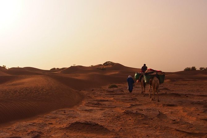 4 Days Hiking To Desert - Additional Information