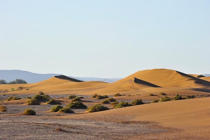 4 Days Hiking To Desert - Pricing and Cancellation