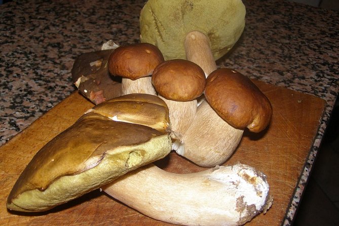 4-Days Italian Cooking and Truffle Tours - Pickup and Meeting Details