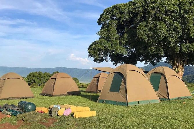 4 Days Join Group Tour Tarangire Serengeti and Ngorongoro Crater - Guide and Services