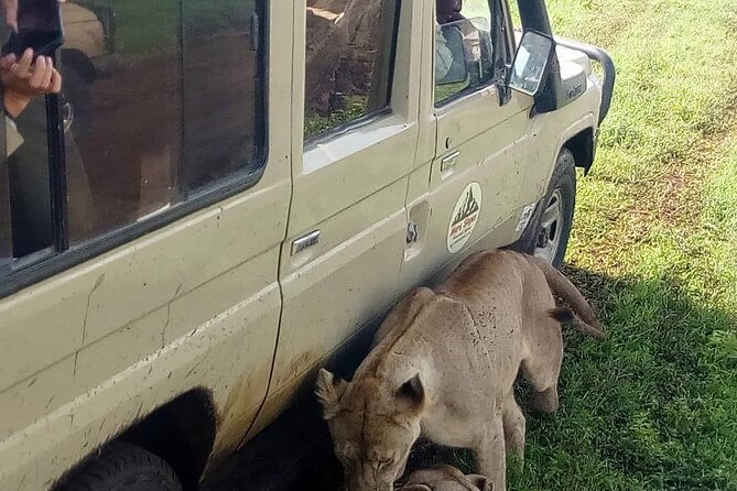 4 Days Join Group Tour Tarangire Serengeti and Ngorongoro Crater - Booking and Confirmation