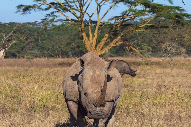 4 Days Joined Group Safari Serengeti,Ngorongoro and Tarangire National Parks - Booking and Cancellation Policies
