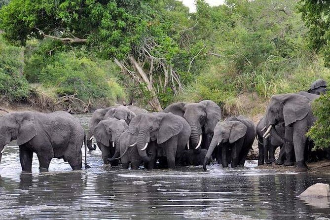 4 Days Joined Group Safari Serengeti,Ngorongoro and Tarangire National Parks - Serengeti and Mara River Exploration