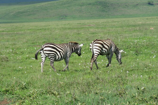4 Days Joining Safari : Lake Manyara, Serengeti & Ngorongoro - Logistical Details