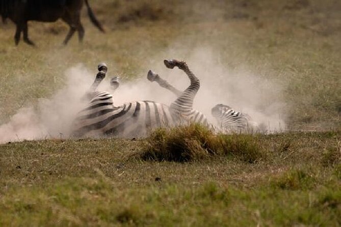 4 Days Kenyan Wildlife Safari - Accommodation and Amenities
