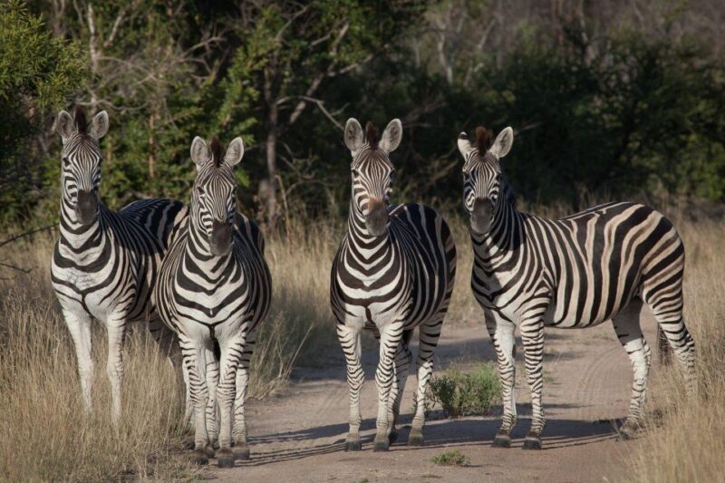 4 Days Kruger National Park and Panorama Route - Panorama Route