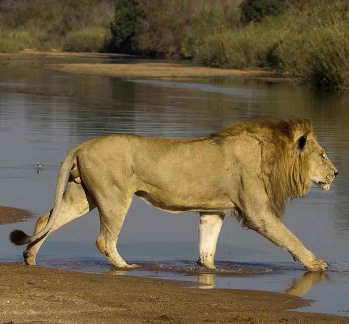 4 Days Kruger National Park and Panorama Route - Tour Exclusions