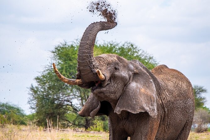 4 Days Lodge &Camping Tarangire,Serengeti, Ngorongoro Safari Tour - Accommodation and Amenities
