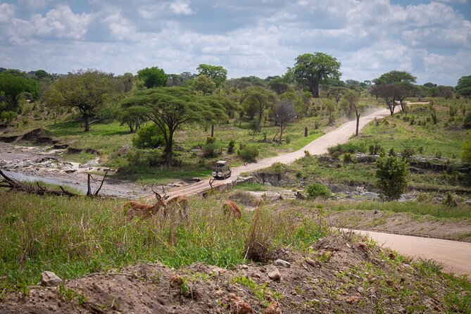 4 Days Lodge &Camping Tarangire,Serengeti, Ngorongoro Safari Tour - Inclusion and Exclusions