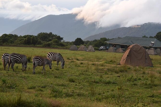 4 Days Lodge &Camping Tarangire,Serengeti, Ngorongoro Safari Tour - Booking and Cancellation Policy