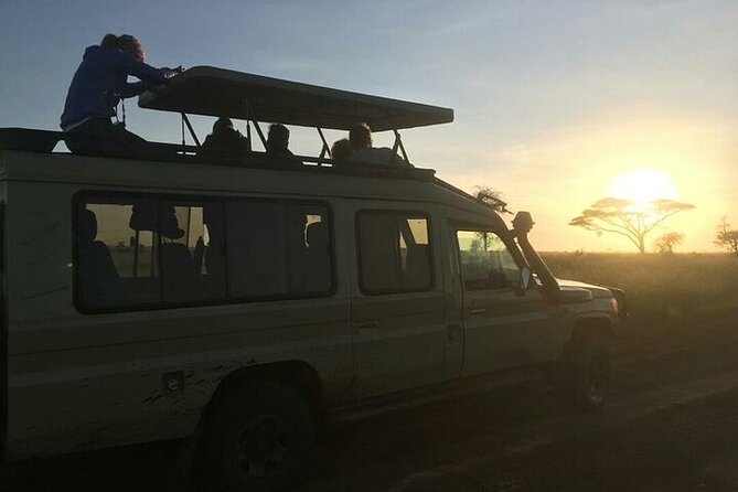 4 Days Lodge &Camping Tarangire,Serengeti, Ngorongoro Safari Tour - Additional Travel Tips