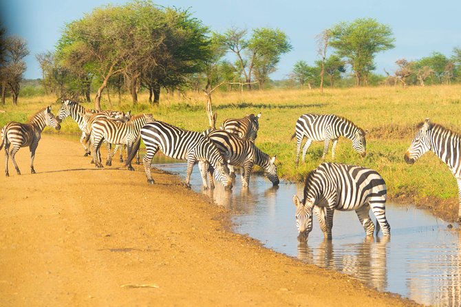 4 Days Lodge Safari - Destination Highlights