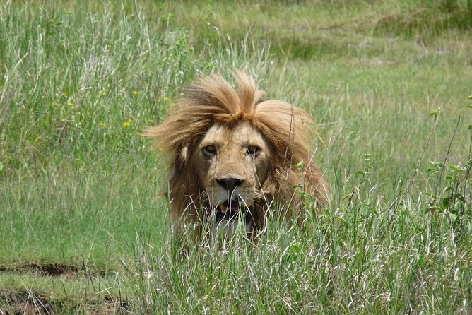 4 Days Lodge Safari - Safari Activities