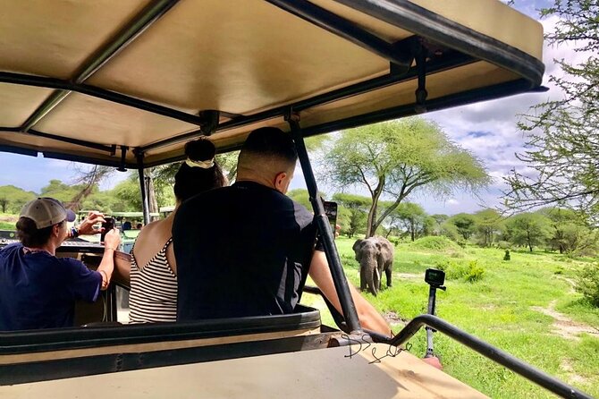 4 Days Lodge Safari Tarangire , Ngorongoro Crater & Walking - Mount Kilimanjaro Slopes