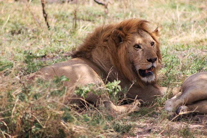 4 Days Lodge Safari Tarangire , Ngorongoro Crater & Walking - Included Amenities