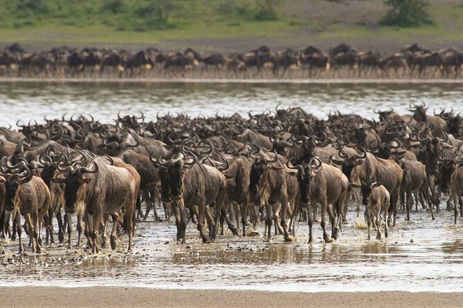 4 Days Lodges Serengeti, Ngorongoro Crater & Visiting Maasai - Emergency Rescue