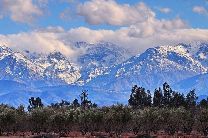 4 Days Luxury Desert Tour From Fes to Marrakech - Included Meals