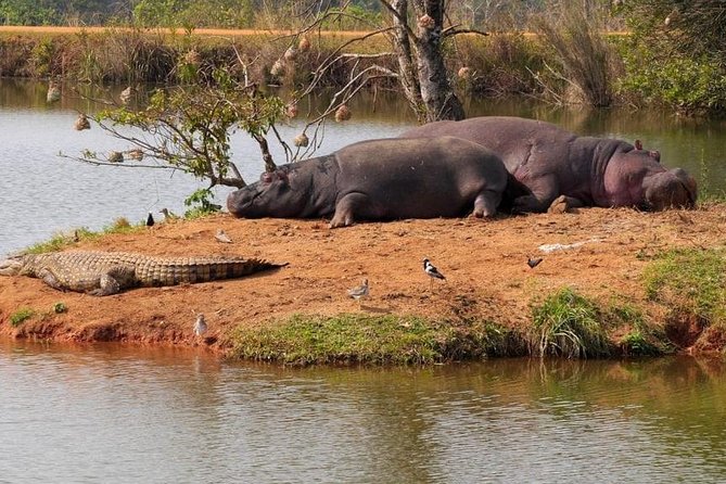 4 Days Luxury Lodge Safari Tour Tanzania - Cancelation Policy