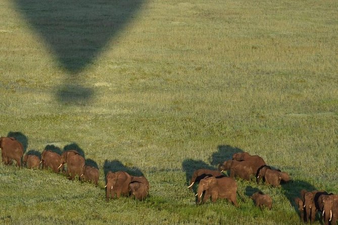 4 Days Luxury Safari (A Dream Experience) - Itinerary and Activities