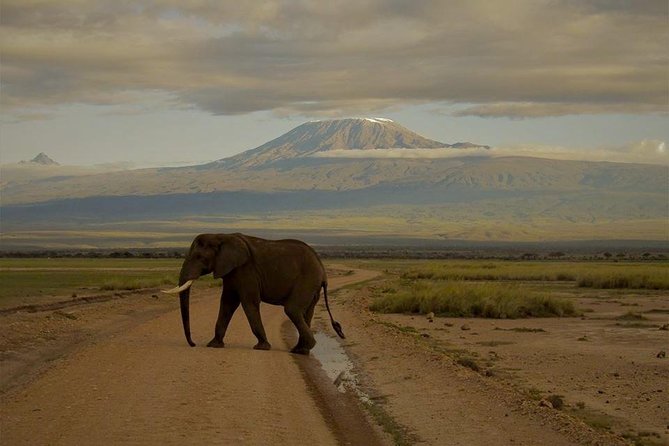 4 Days Maasai Mara-Nakuru Mid-Range - Health and Accessibility
