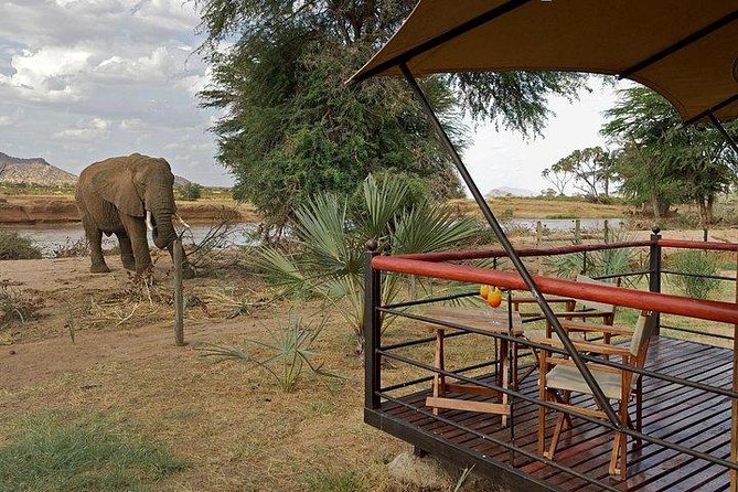 4 Days Maasai Mara-Nakuru Mid-Range - Cancellation Policy