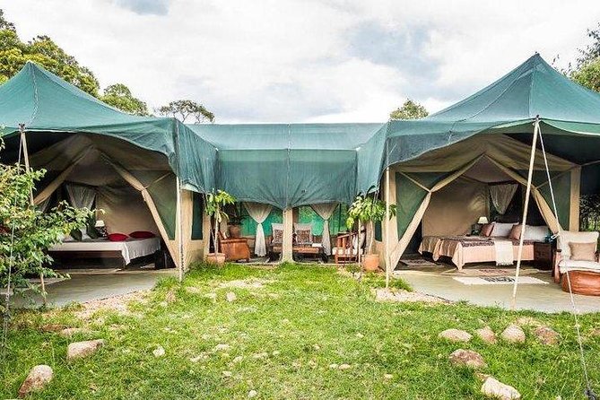 4 Days Maasai Mara-Nakuru Mid-Range - Itinerary
