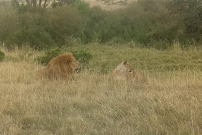 4 Days Maasi Mara-Nakuru National Park Budget Camping Safari - Scenic Landscape of Nakuru