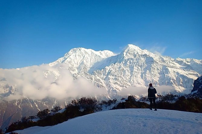 4 Days Mardi Himal Base Camp Trek - 4500 Meters - Day 2: Forest Camp to High Camp