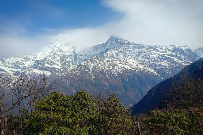 4 Days Mardi Himal Base Camp Trek - 4500 Meters - Inclusions and Pricing