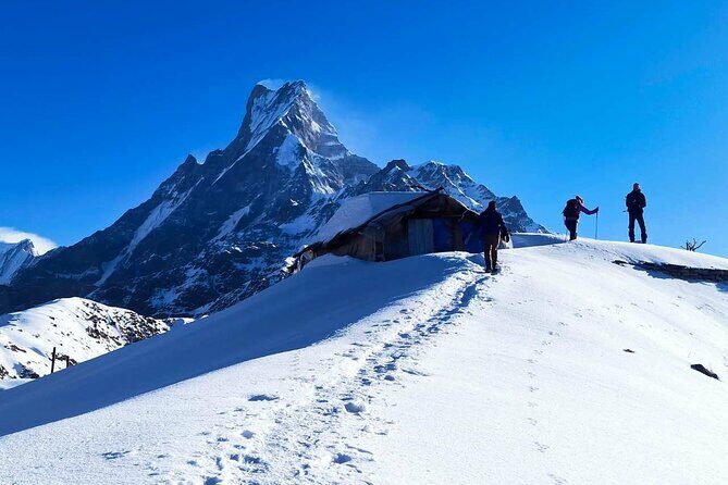 4 Days Mardi Himal Base Camp Trekking in Pokhara - The Trek Experience in Detail