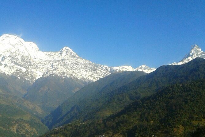 4 Days Mardi Himal Base Camp Trekking in Pokhara - Real Traveler Perspectives