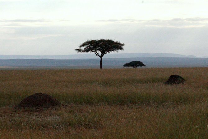 4 Days Masai Mara Camping Safari - Camping Experience and Amenities
