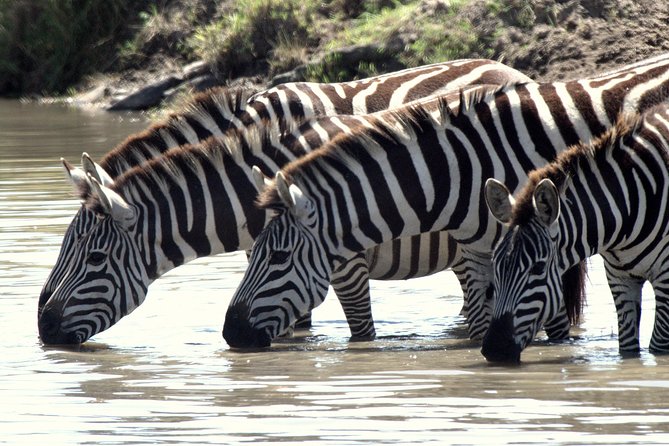 4 Days Masai Mara Camping Safari - Meal Inclusions
