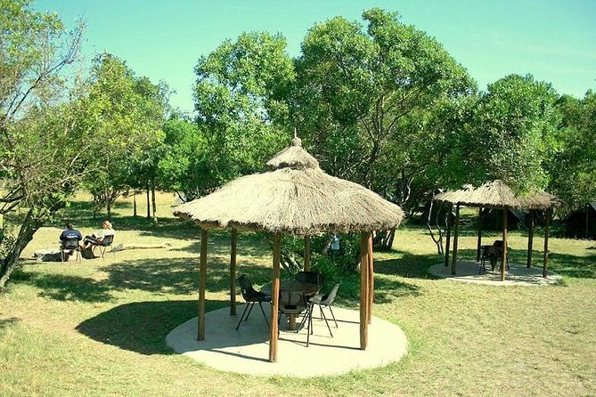 4 Days Masai Mara Camping Safari - About Best Camping Tours Kenya