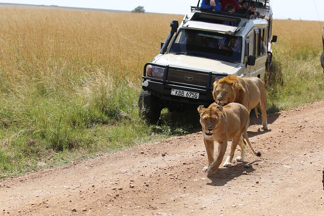 4 Days Masai Mara Lake Nakuru Jeep Safari - Pickup and Drop-off