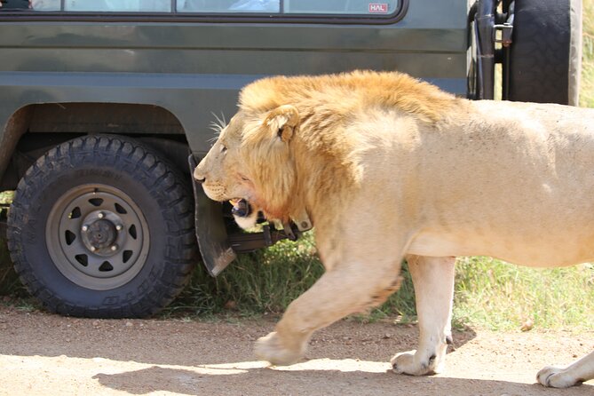 4 Days Masai Mara Lake Nakuru Jeep Safari - What to Bring