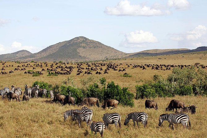 4 Days Masai Mara & Lake Nakuru Lodge Safari - Cancellation Policy