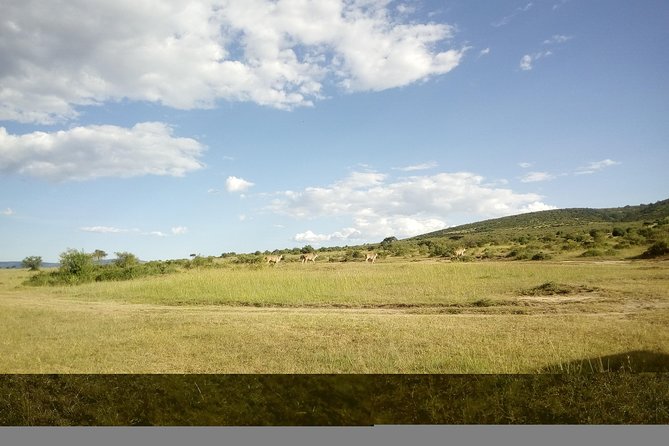 4 Days Masai Mara Nakuru - Inclusions and Logistics