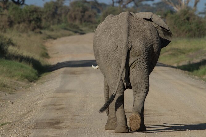 4 Days Masai Mara Nakuru - Tour Itinerary
