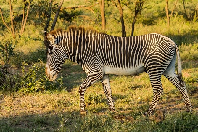4 Days Mid Luxury Safari, Lake Nakuru and Masai Mara. - Accessibility and Participation