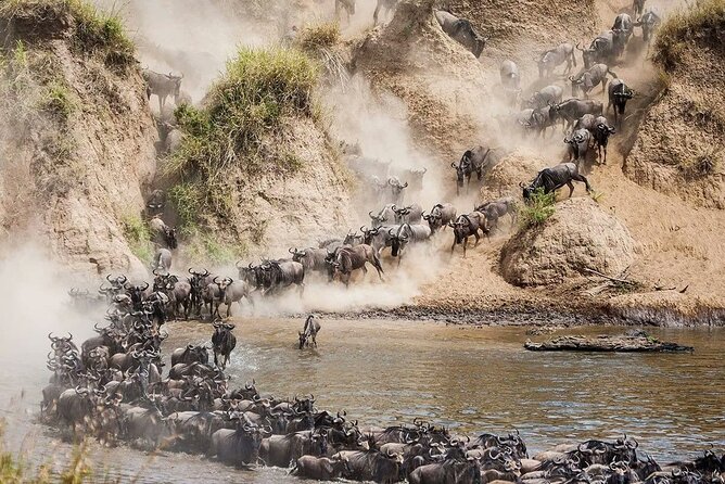 4 Days Mid Luxury Safari, Lake Nakuru and Masai Mara. - Safari Pricing and Booking