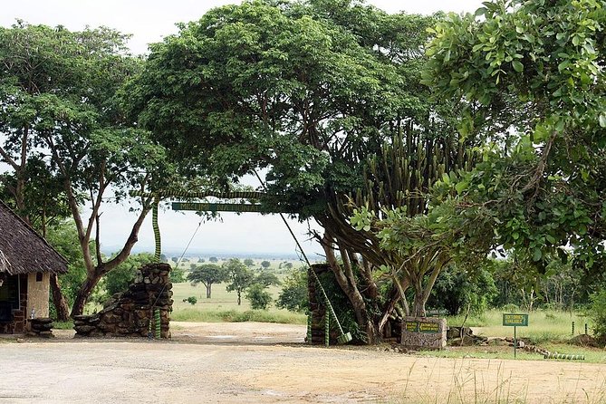 4 Days Mikumi & Udzungwa National Parks Safari - Itinerary Details