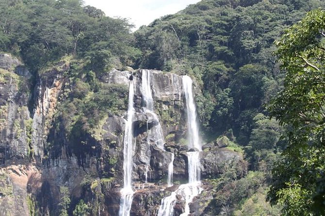 4 Days Mikumi & Udzungwa National Parks Safari - Park Exploration