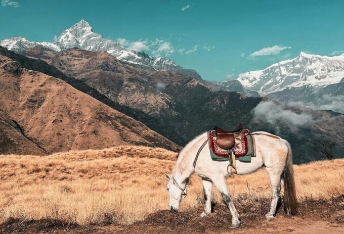 4 Days Mohare Danda Trek From Pokhara - Frequently Asked Questions