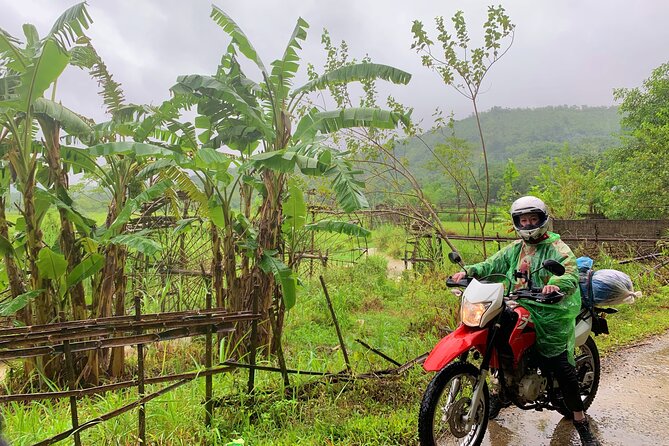 4 Days Motorcycle Tour to Mai Chau and Cuc Phuong National Park - Visiting Cuc Phuong National Park