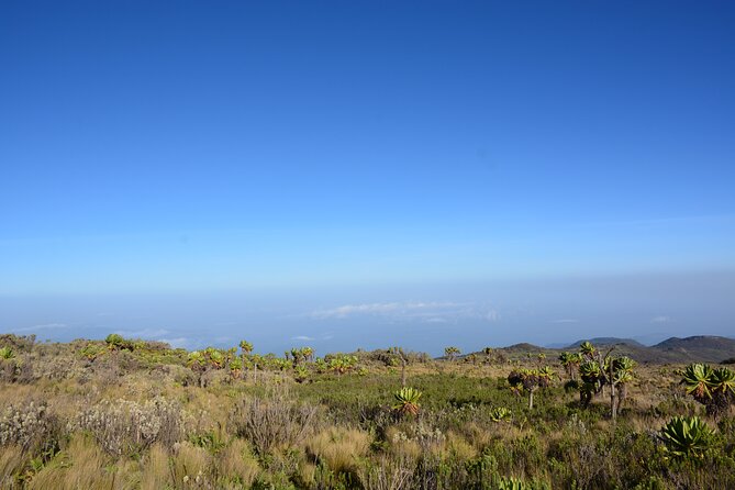 4 Days Mount Elgon - Meeting and Pickup Details