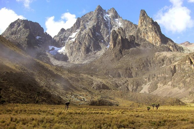 4 Days Mount Kenya Trekking - Key Points